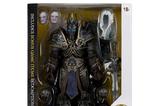 04-Figura-The-Lich-King-Elite-Edition-World-of-Warcraft.jpg