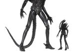 04-figura-ultimate-big-chap-alien-40-aniversario-sdcc.jpg