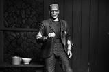 01-figura-ultimate-frankenstein's-monster-bf.jpg