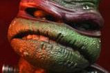 01-Figura-Ultimate-Raphael-Frankenstein-Monster.jpg
