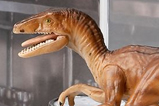 01-Figura-Velociraptor-Jurassic-Park-Creature.jpg