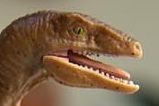 04-Figura-Velociraptor-Jurassic-Park-Creature.jpg