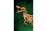 02-figura-velociraptor-the-lost-world-jurassic-park-art-scale-1-1-618231950331.jpg