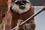 07-Figura-Wicket-Masterpiece-StarWars.jpg