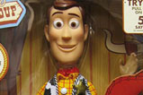 01-Figura-woody-ed-coleccionista.jpg