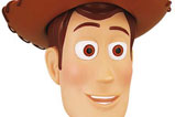 02-Figura-woody-ed-coleccionista.jpg