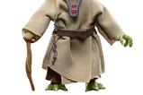 01-Figura-Yoda-Dagobah-Star-Wars.jpg