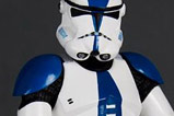 05-figuras-ARTFX-501st-Legion-Limited-Edition.jpg