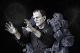04-Frankenstein-Escultura-de-Pared-Classic-Horror-Edition-Lifesize-94-cm.jpg