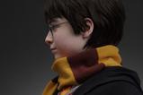 20-Harry-Potter-Busto-11-Harry-76-cm.jpg