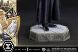 01-Harry-Potter-Estatua-Prime-Collectibles-16-Harry-Potter-with-Hedwig-28-cm.jpg