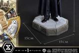 03-Harry-Potter-Estatua-Prime-Collectibles-16-Harry-Potter-with-Hedwig-28-cm.jpg