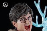 02-Harry-Potter-Figura-16-IKIGAI-30-cm.jpg