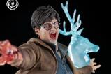 12-Harry-Potter-Figura-16-IKIGAI-30-cm.jpg