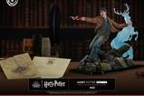 14-Harry-Potter-Figura-16-IKIGAI-30-cm.jpg