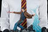 16-Harry-Potter-Figura-16-IKIGAI-30-cm.jpg