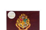 06-Harry-Potter-Pack-de-Regalo-Letter-Writing.jpg
