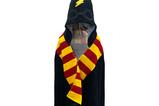 01-Harry-Potter-Toalla-con-capucha-Hogwarts-70-x-140cm.jpg
