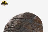 03-Jurassic-Park-11-Rplica-Triceratops-Toenail-16-cm.jpg