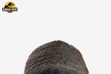 04-Jurassic-Park-11-Rplica-Triceratops-Toenail-16-cm.jpg