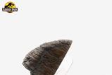 10-Jurassic-Park-11-Rplica-Triceratops-Toenail-16-cm.jpg