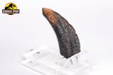 02-Jurassic-Park-11-Rplica-Velociraptor-Toenail-Type-A-11-cm.jpg
