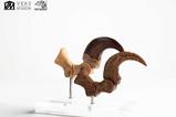 02-Jurassic-Park-ECC-Elite-Creature-Line-Estatua-Velociraptor-Foot-Claw-and-Fossi.jpg