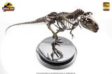 01-Jurassic-Park-Estatua-124-TRex-43-cm.jpg