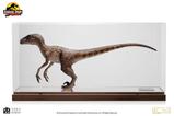 01-Jurassic-Park-Estatua-14-Velociraptor-Clever-Girl-49-cm-Con-estuche-acrlico.jpg