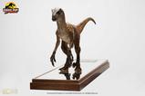 03-Jurassic-Park-Estatua-14-Velociraptor-Clever-Girl-49-cm-Con-estuche-acrlico.jpg
