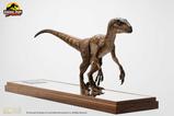 04-Jurassic-Park-Estatua-14-Velociraptor-Clever-Girl-49-cm-Con-estuche-acrlico.jpg