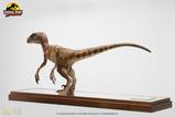 05-Jurassic-Park-Estatua-14-Velociraptor-Clever-Girl-49-cm-Con-estuche-acrlico.jpg