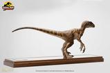 06-Jurassic-Park-Estatua-14-Velociraptor-Clever-Girl-49-cm-Con-estuche-acrlico.jpg