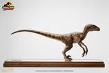 07-Jurassic-Park-Estatua-14-Velociraptor-Clever-Girl-49-cm-Con-estuche-acrlico.jpg