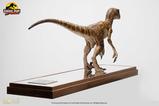 15-Jurassic-Park-Estatua-14-Velociraptor-Clever-Girl-49-cm-Con-estuche-acrlico.jpg