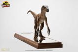 16-Jurassic-Park-Estatua-14-Velociraptor-Clever-Girl-49-cm-Con-estuche-acrlico.jpg