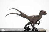 13-Jurassic-Park-Estatua-18-Pair-of-Velociraptors-30-cm.jpg