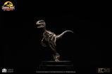 02-Jurassic-Park-Estatua-18-Velociraptor-Skeleton-Bronze-24-cm.jpg