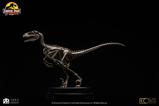 04-Jurassic-Park-Estatua-18-Velociraptor-Skeleton-Bronze-24-cm.jpg