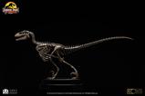 06-Jurassic-Park-Estatua-18-Velociraptor-Skeleton-Bronze-24-cm.jpg