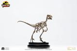 07-Jurassic-Park-Estatua-18-Velociraptor-Skeleton-Bronze-24-cm.jpg