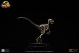 09-Jurassic-Park-Estatua-18-Velociraptor-Skeleton-Bronze-24-cm.jpg