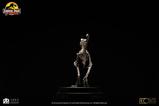 12-Jurassic-Park-Estatua-18-Velociraptor-Skeleton-Bronze-24-cm.jpg