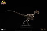17-Jurassic-Park-Estatua-18-Velociraptor-Skeleton-Bronze-24-cm.jpg