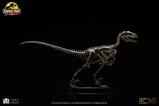19-Jurassic-Park-Estatua-18-Velociraptor-Skeleton-Bronze-24-cm.jpg