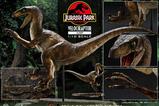 13-Jurassic-Park-Estatua-Prime-Collectibles-110-Velociraptor-Jump-21-cm.jpg