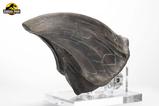 04-Jurassic-Park-Estatua-TRex-Foot-Claw-28-cm.jpg