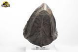 06-Jurassic-Park-Estatua-TRex-Foot-Claw-28-cm.jpg