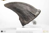 08-Jurassic-Park-Estatua-TRex-Foot-Claw-28-cm.jpg
