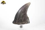 10-Jurassic-Park-Estatua-TRex-Foot-Claw-28-cm.jpg